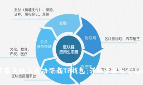 如何在苹果手机上成功下载TP钱包：详细步骤与常见问题解答