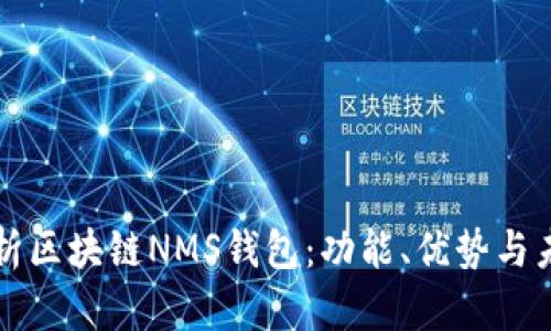 深入解析区块链NMS钱包：功能、优势与未来发展