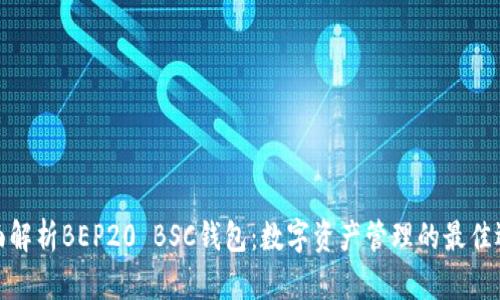 全面解析BEP20 BSC钱包：数字资产管理的最佳选择