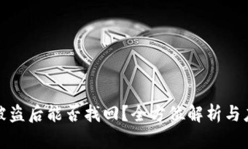 TP钱包被盗后能否找回？全方位解析与应对策略