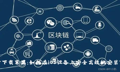 TronLink官方下载苹果：如何在iOS设备上安全高效地安装TronLink钱包