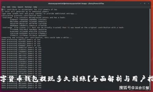 数字货币钱包提现多久到账？全面解析与用户指南