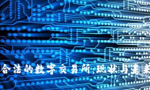 中国合法的数字交易所：现状与未来发展