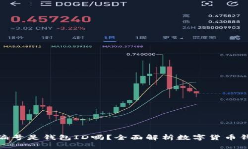 数字货币钱包编号是钱包ID吗？全面解析数字货币钱包的相关概念