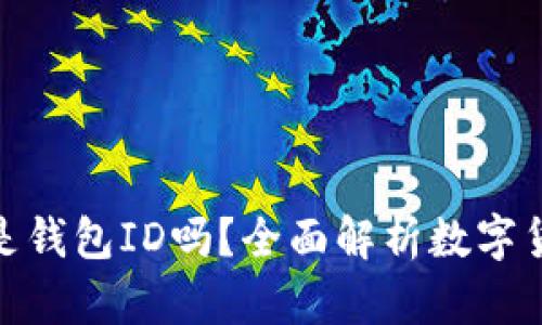 数字货币钱包编号是钱包ID吗？全面解析数字货币钱包的相关概念