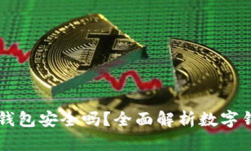 IM钱包数字钱包安全吗？全面解析数字钱包的安全性