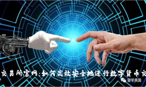 TP交易所官网：如何高效安全地进行数字货币交易