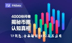 TP钱包：全面解析BEP2及其应用