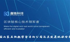 国内真正做数字货币的公司及其发展现状分析