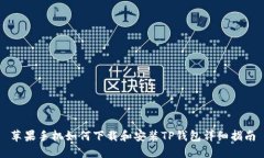 苹果手机如何下载和安装TP钱包详细指南