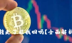 TP钱包币被转走了能找回吗？全面解析及防范措施