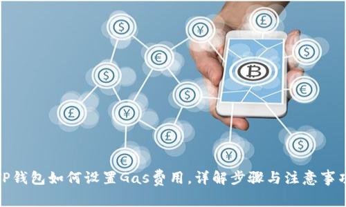 TP钱包如何设置Gas费用，详解步骤与注意事项