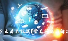 TP钱包为什么看不到钱？常见问题与解决方案解析