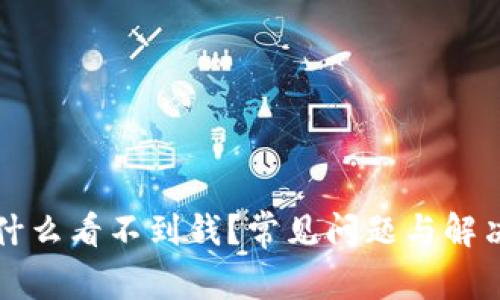 TP钱包为什么看不到钱？常见问题与解决方案解析