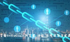 深入了解OKExChain浏览器：功能、使用方法与发展