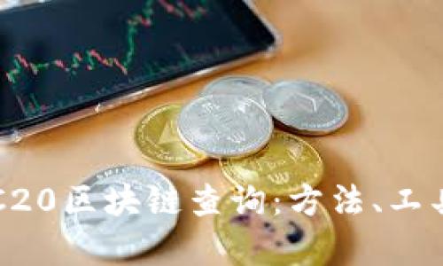 全面解析TRC20区块链查询：方法、工具与实践指南
