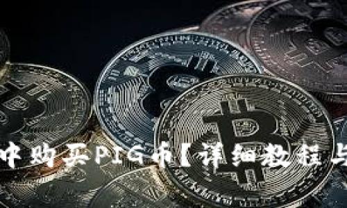 如何在TP钱包中购买PIG币？详细教程与常见问题解答