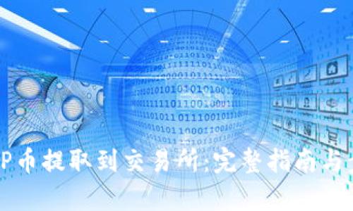 如何将TP币提取到交易所：完整指南与步骤解析