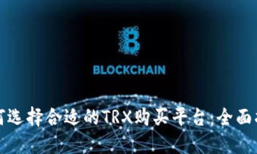如何选择合适的TRX购买平台：全面指南
