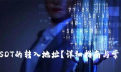 如何查询USDT的转入地址？详细指南与常见问题解