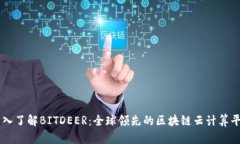 深入了解BITDEER：全球领先的区块链云计算平台