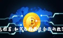 虚拟币钱包推荐：如何选择最适合你的数字资产