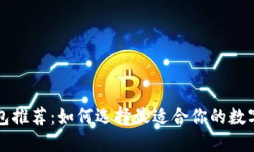 虚拟币钱包推荐：如何选择最适合你的数字资产钱包