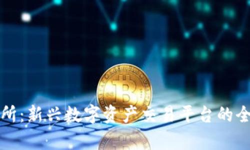 TR交易所：新兴数字资产交易平台的全景分析