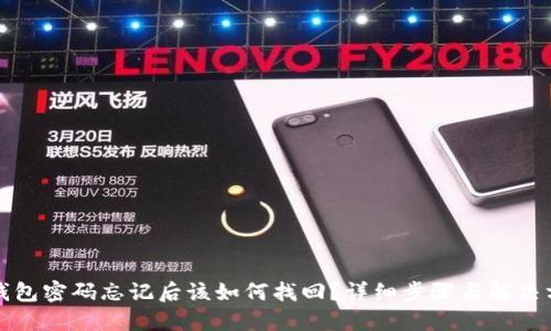 TP钱包密码忘记后该如何找回？详细步骤与解决方案