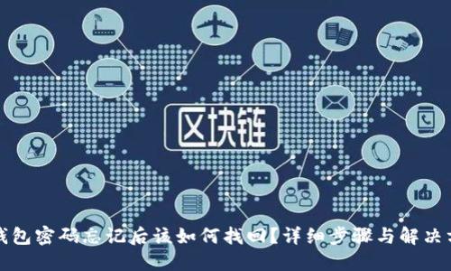 TP钱包密码忘记后该如何找回？详细步骤与解决方案