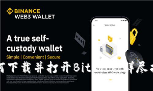 如何下载并打开Bitdock：详尽指南