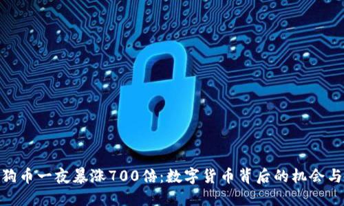 : 狗狗币一夜暴涨700倍：数字货币背后的机会与风险