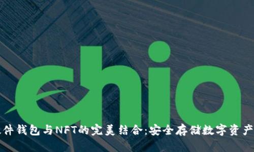 区块链硬件钱包与NFT的完美结合：安全存储数字资产的新选择