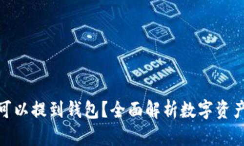 哪些数字货币可以提到钱包？全面解析数字资产转移与安全性