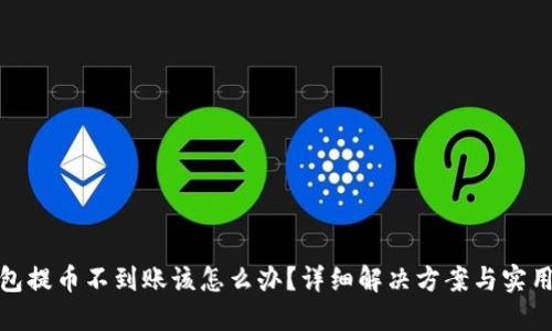 TP钱包提币不到账该怎么办？详细解决方案与实用建议