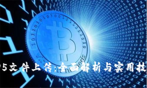 TP5文件上传：全面解析与实用技巧