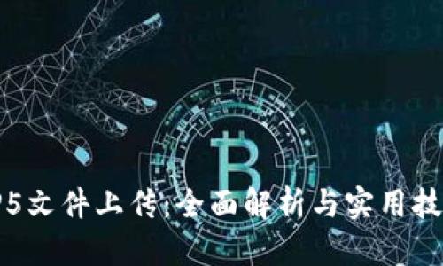TP5文件上传：全面解析与实用技巧