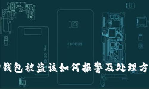 TP钱包被盗该如何报警及处理方法