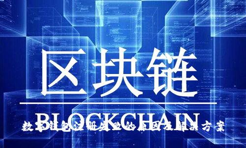 数字钱包注册失败的原因及解决方案
