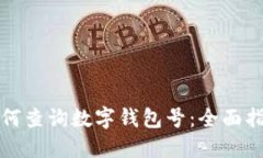如何查询数字钱包号：全面指南