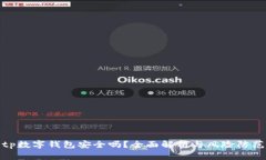tp数字钱包安全吗？全面解析与风险防范