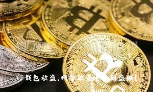 TP钱包被盗，网警能否追查到盗贼？