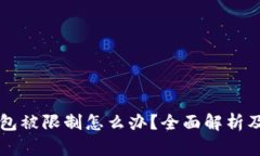 区块链钱包被限制怎么办？全面解析及解决方案