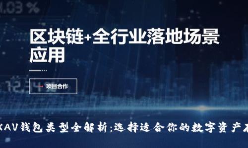 区块链XAV钱包类型全解析：选择适合你的数字资产存储方案
