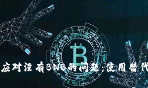 如何在TP钱包中应对没有BNB的问题：使用替代方案和解决方法
