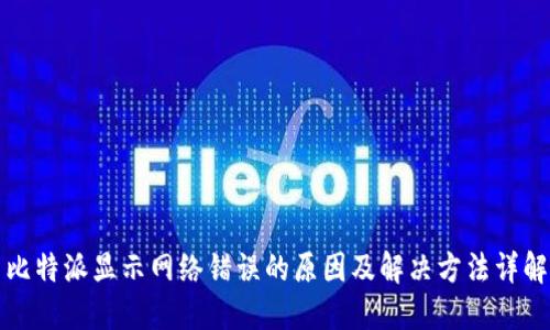 比特派显示网络错误的原因及解决方法详解