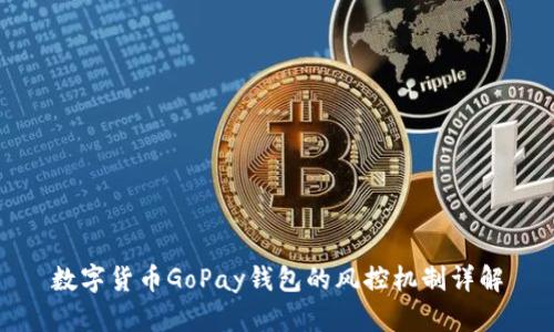 数字货币GoPay钱包的风控机制详解