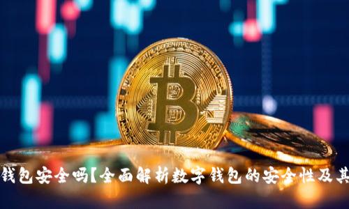 下载数字钱包安全吗？全面解析数字钱包的安全性及其防护措施