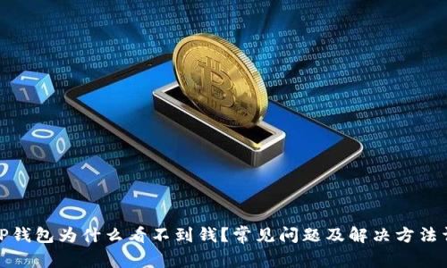 : TP钱包为什么看不到钱？常见问题及解决方法详解