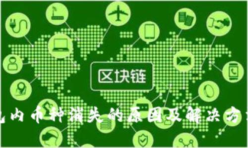 TP钱包内币种消失的原因及解决方法详解